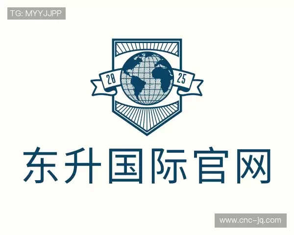 介绍东升国际官网